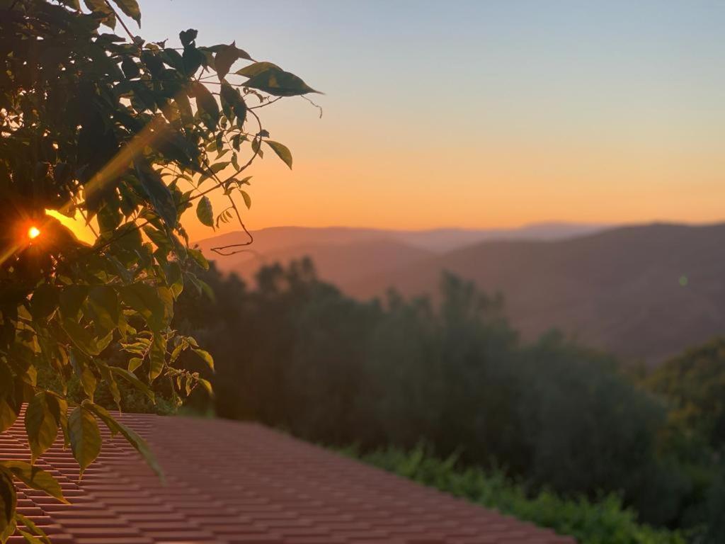 Vila Recanto Do Pinheiro Arga de Baixo Exteriér fotografie