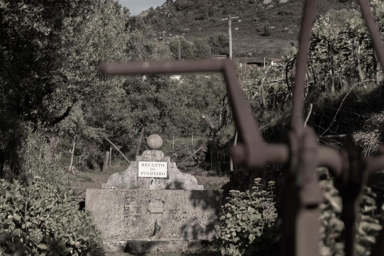 Vila Recanto Do Pinheiro Arga de Baixo Exteriér fotografie